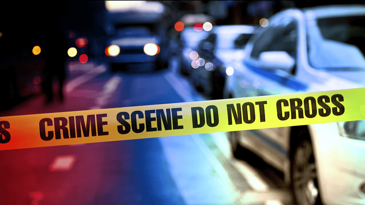 Man charged with murdering father after police find body in Orland Park home