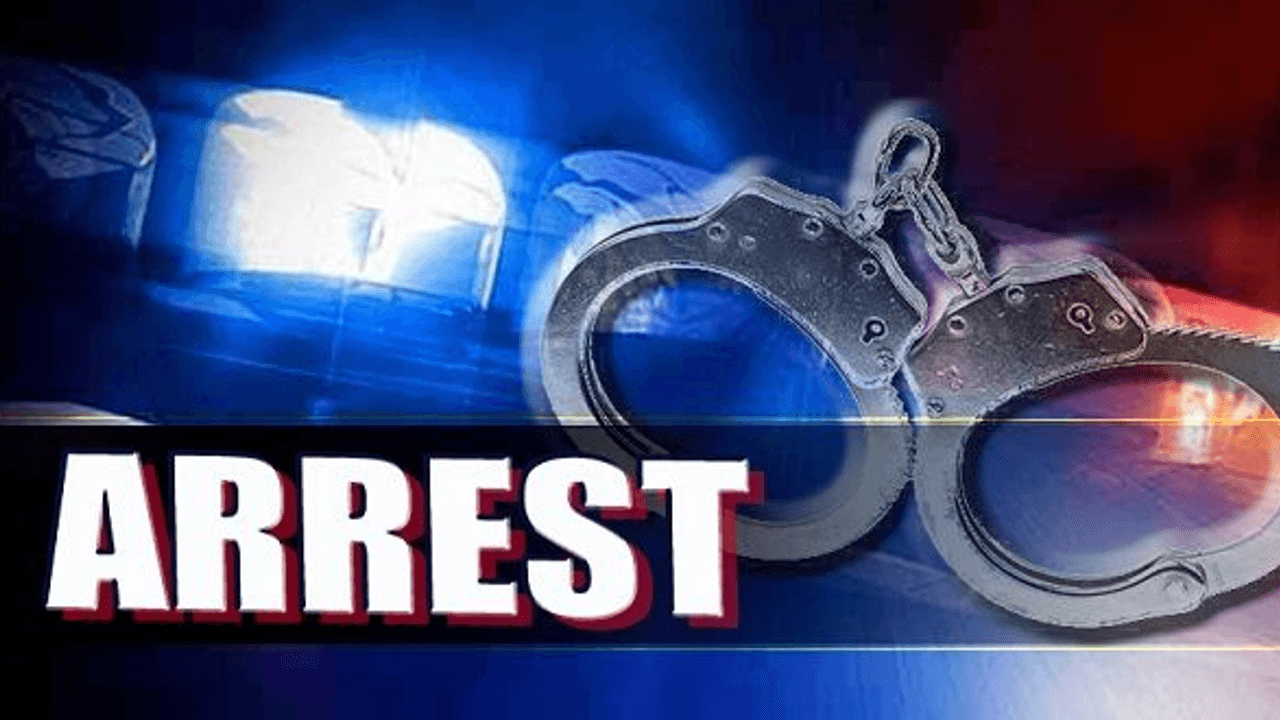 Eureka Springs councilman arrested on felony, assault charges