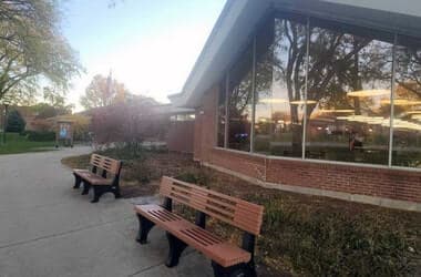 Celebrate Black History Month in February at the Park Forest Public Library